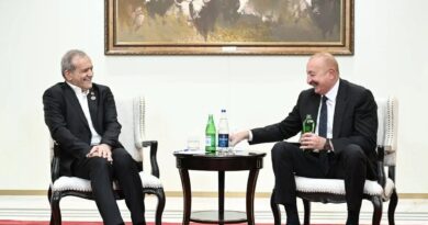 Bir stəkan su ilə dünyaya diplomatiya dərsi. Milli Məclisin deputatı Elnarə Akimova yazır