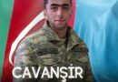 Dağların vuqarlı oğlu: ​Cavanşir Namiq oğlu Həmidli. – Leyla Məcidova yazır
