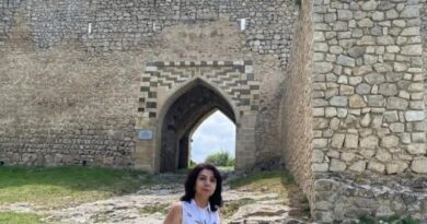 Hicab “mehi” də belə keçəcək, yaxud cəmiyyətin həssaslığı… Arifə Əliyeva yazır