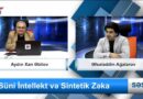 “Süni İntellekt və Sintetik Zəka”. IV TV veriliş. Aydın Xan Əbilov və Əfsələddin Ağayev. Video